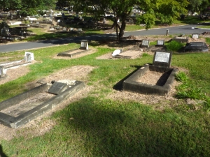 Area surrounding Mitchell Plot - Toowong Cemetery